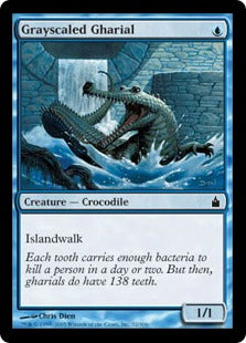 [052]【EN】【FOIL】灰鱗のガリアル/Grayscaled Gharial【RAV】[C][青]