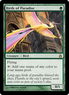 [153]【EN】極楽鳥/Birds of Paradise【RAV】[R][緑]