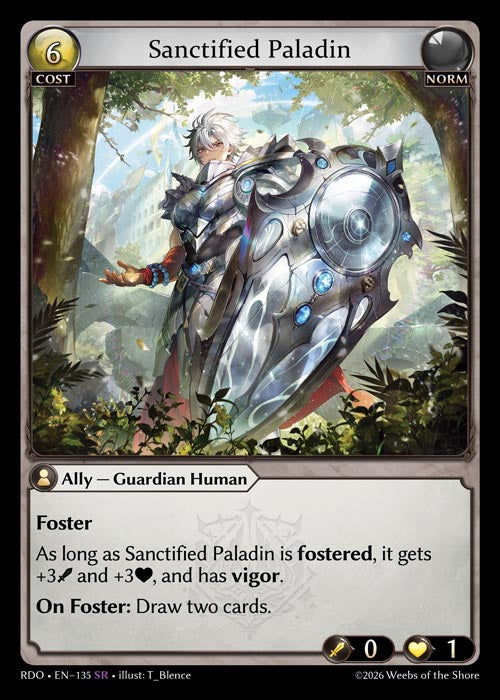 [135]【EN】Sanctified Paladin【RDO】[SR][Norm]