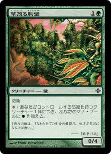 [203]【JP】【FOIL】草茂る胸壁/Overgrown Battlement【ROE】[C][緑]
