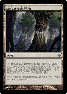 [228]【JP】進化する未開地/Evolving Wilds【ROE】[C][土地]