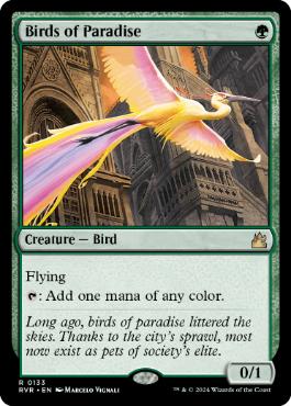 [133]【EN】極楽鳥/Birds of Paradise【RVR】[R][緑]
