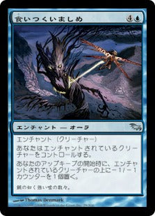 [029]【JP】【FOIL】食いつくいましめ/Biting Tether【SHM】[U][青]