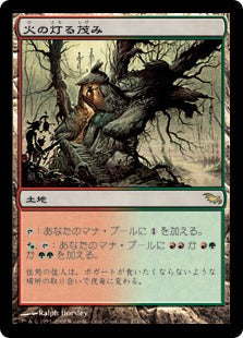 [271]【JP】【FOIL】火の灯る茂み/Fire-Lit Thicket【SHM】[R][土地]