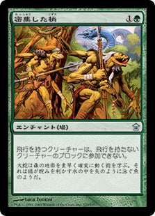 [125]【JP】【FOIL】密集した梢/Dense Canopy【SOK】[U][緑]