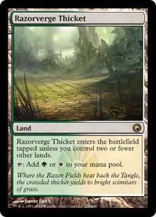 [228]【EN】【FOIL】剃刀境の茂み/Razorverge Thicket【SOM】[R][土地]