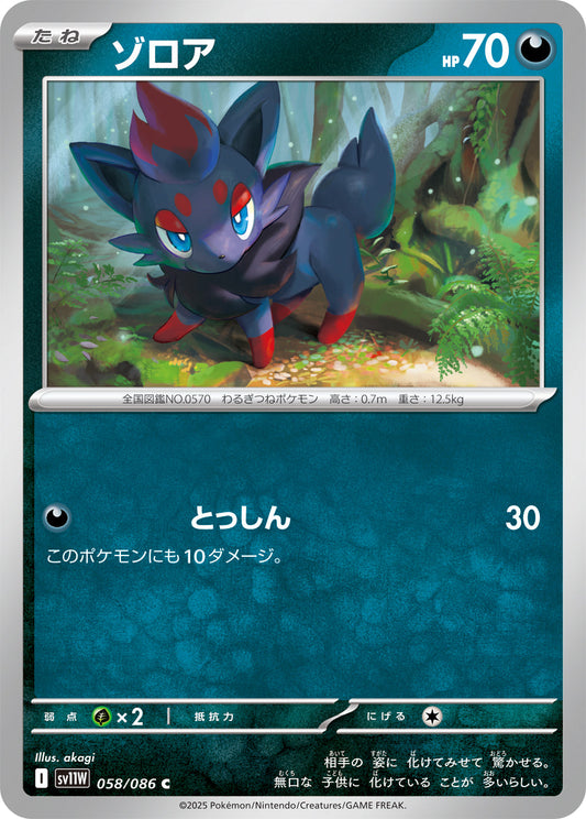 【SV11W】[058/086]ゾロア[C][悪]