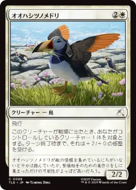 [088]【JP】オオハシツノメドリ/Toucan-Puffin【TLE】[C][白]