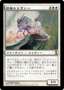 [036]【JP】肺臓スリヴァー/Pulmonic Sliver【TSP】[R][白]