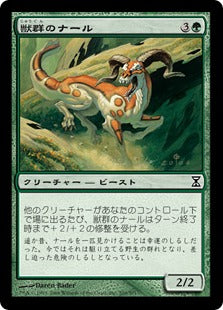 [200]【JP】【FOIL】獣群のナール/Herd Gnarr【TSP】[C][緑]