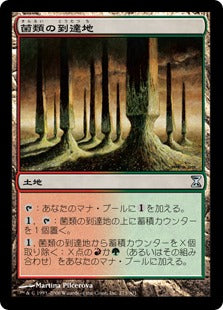 [273]【JP】【FOIL】菌類の到達地/Fungal Reaches【TSP】[U][土地]