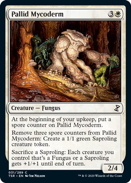 [031]【EN】【FOIL】淡色のマイコダーム/Pallid Mycoderm【TSR】[C][白]