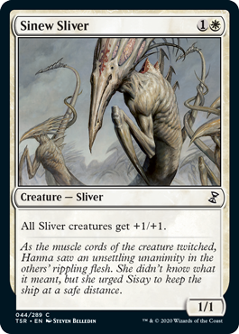 [044]【EN】【FOIL】筋力スリヴァー/Sinew Sliver【TSR】[C][白]