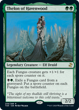 [238]【EN】【FOIL】ヘイヴンウッドのセロン/Thelon of Havenwood【TSR】[R][緑]