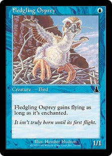 [033]【EN】【FOIL】巣立つミサゴ/Fledgling Osprey【UDS】[C][青]