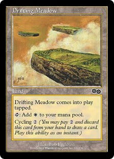 [320]【JP】漂う牧草地/Drifting Meadow【USG】[C][土地]