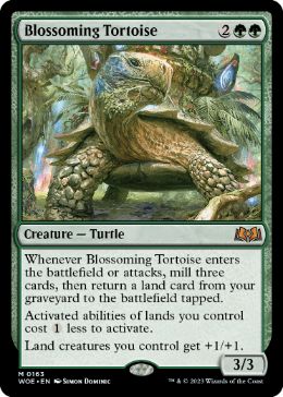 [163]【EN】開花の亀/Blossoming Tortoise【WOE】[M][緑]
