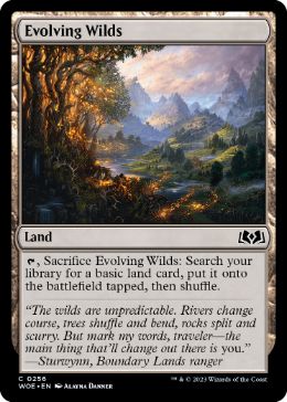 [256]【EN】【FOIL】進化する未開地/Evolving Wilds【WOE】[C][土地]
