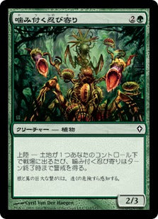 [112]【JP】噛み付く忍び寄り/Snapping Creeper【WWK】[C][緑]