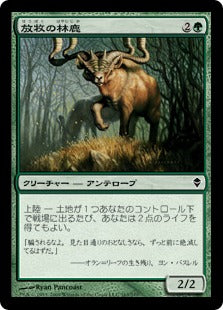 [163]【JP】【FOIL】放牧の林鹿/Grazing Gladehart【ZEN】[C][緑]