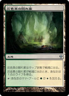 [214]【JP】【FOIL】灰色革の隠れ家/Graypelt Refuge【ZEN】[U][土地]