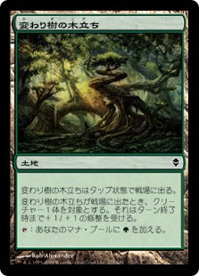 [227]【JP】【FOIL】変わり樹の木立ち/Turntimber Grove【ZEN】[C][土地]