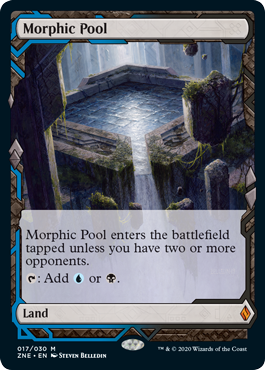 [017]【EN】【FOIL】変遷の泉/Morphic Pool【ZNE】[M][土地]