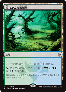 [239]【JP】溢れかえる果樹園/Flooded Grove【A25】[R][土地]