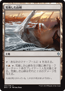 [231]【JP】【FOIL】荒廃した山峡/Blighted Gorge【BFZ】[U][土地]