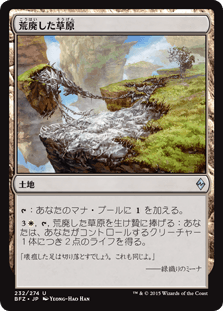 [232]【JP】【FOIL】荒廃した草原/Blighted Steppe【BFZ】[U][土地]