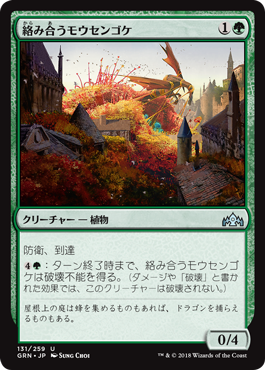 [131]【JP】絡み合うモウセンゴケ/Grappling Sundew【GRN】[U][緑]