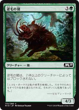 [170]【JP】逆毛の猪/Bristling Boar【M19】[C][緑]