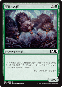 [204]【JP】茨隠れの狼/Thornhide Wolves【M19】[C][緑]