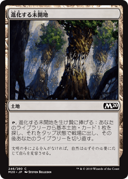 [246]【JP】進化する未開地/Evolving Wilds【M20】[C][土地]