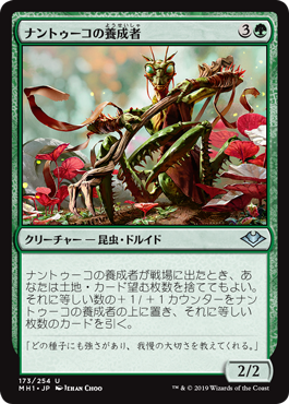 [173]【JP】【FOIL】ナントゥーコの養成者/Nantuko Cultivator【MH1】[U][緑]
