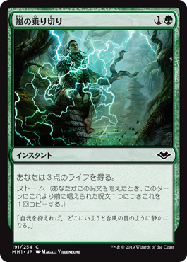 [191]【JP】【FOIL】嵐の乗り切り/Weather the Storm【MH1】[C][緑]