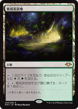 [243]【JP】育成泥炭地/Nurturing Peatland【MH1】[R][土地]