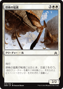 [018]【JP】【FOIL】探検の猛禽【OGW】[C][白]