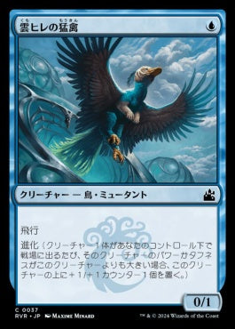 [037]【JP】【FOIL】雲ヒレの猛禽/Cloudfin Raptor【RVR】[C][青]