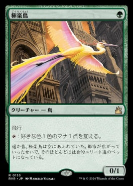 [133]【JP】極楽鳥/Birds of Paradise【RVR】[R][緑]