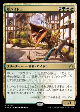 [210]【JP】【FOIL】草ハイドラ/Phytohydra【RVR】[R][多色]