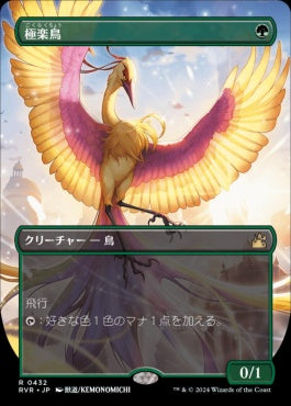 [432]【JP】■アニメ・ボーダーレス■極楽鳥/Birds of Paradise【RVR】[R][緑]
