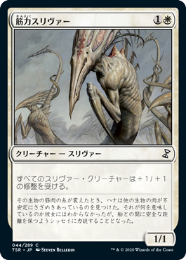 [044]【JP】【FOIL】筋力スリヴァー/Sinew Sliver【TSR】[C][白]