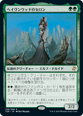 [238]【JP】【FOIL】ヘイヴンウッドのセロン/Thelon of Havenwood【TSR】[R][緑]